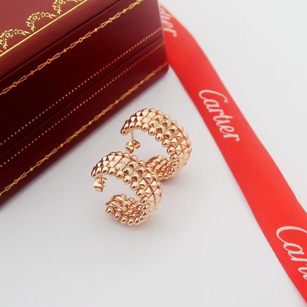 [Royal] CLASH 9.2MM DOUBLE ROW EARRINGS